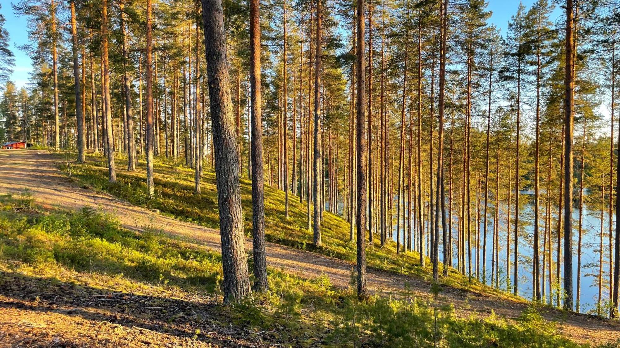 Ahvenlampi Camping Saarijärvi Buitenkant foto