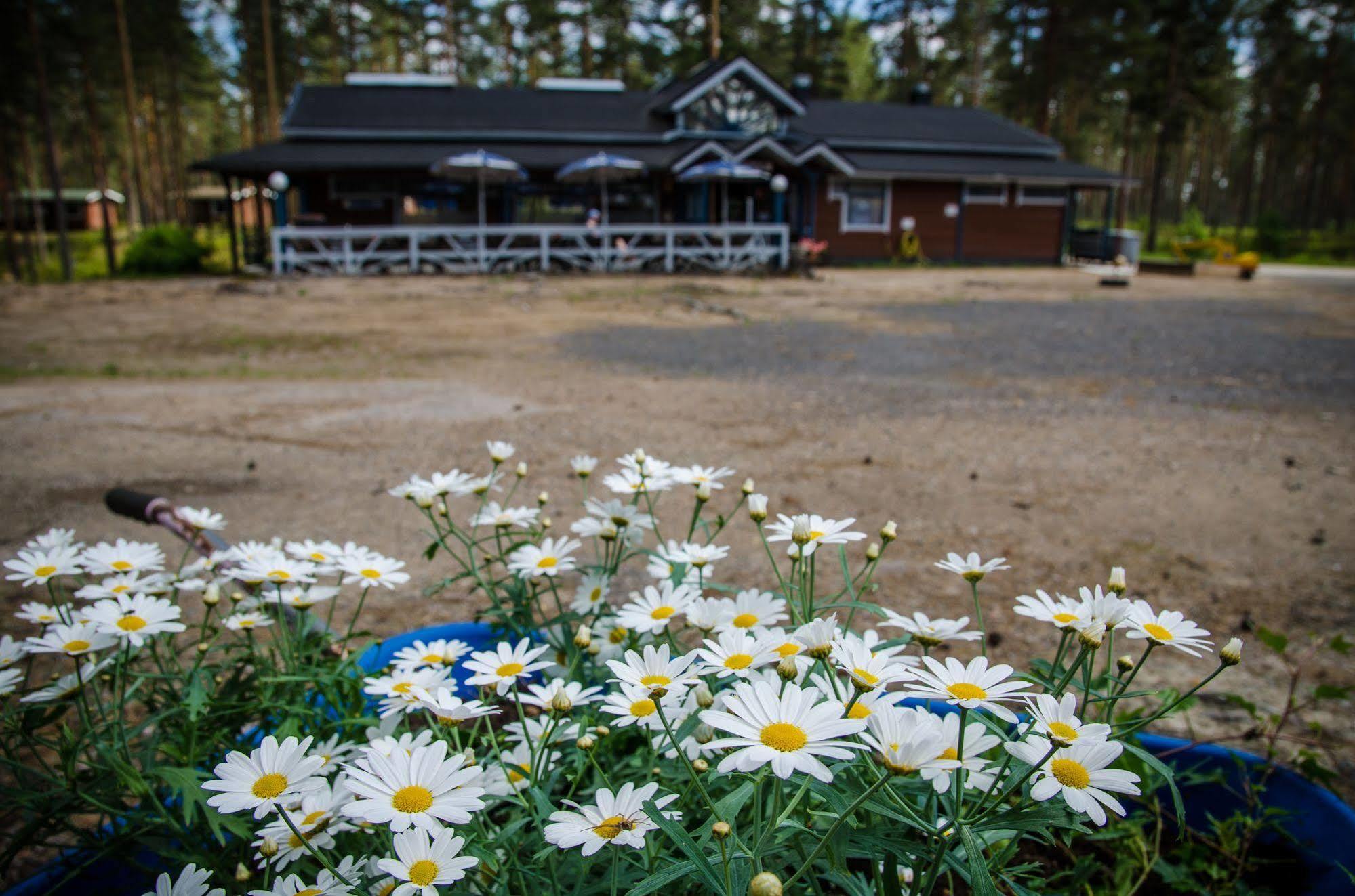 Ahvenlampi Camping Saarijärvi Buitenkant foto